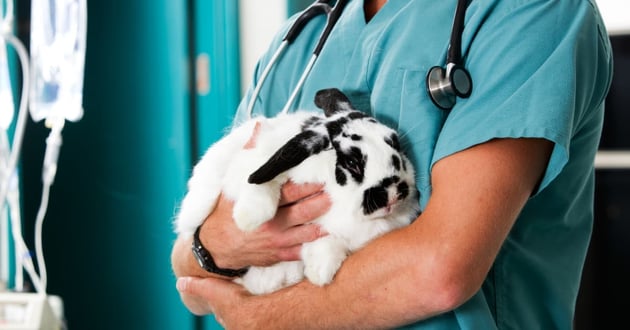 How to Refinance Practice Debt and Strengthen Your Cash Flow_2 (1)