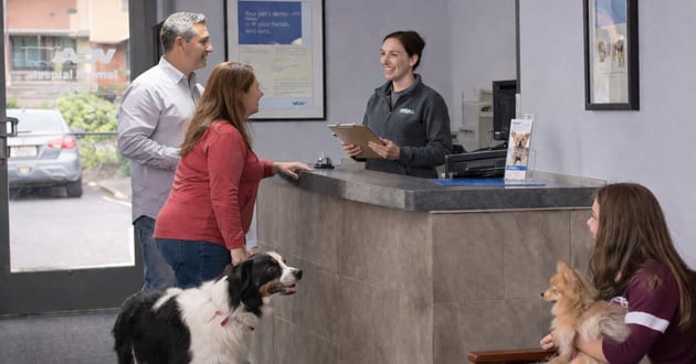 Vet waiting room and check in desk with a couple checking in with their black and white dog and a lady sitting on a chair with her smaller light brown dog on her lap